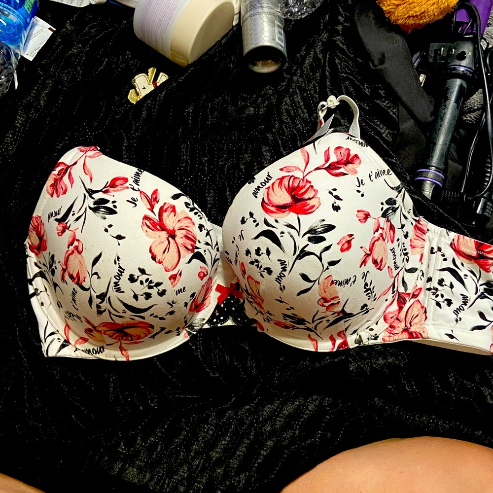 Lane Bryant Plunge Push up bra